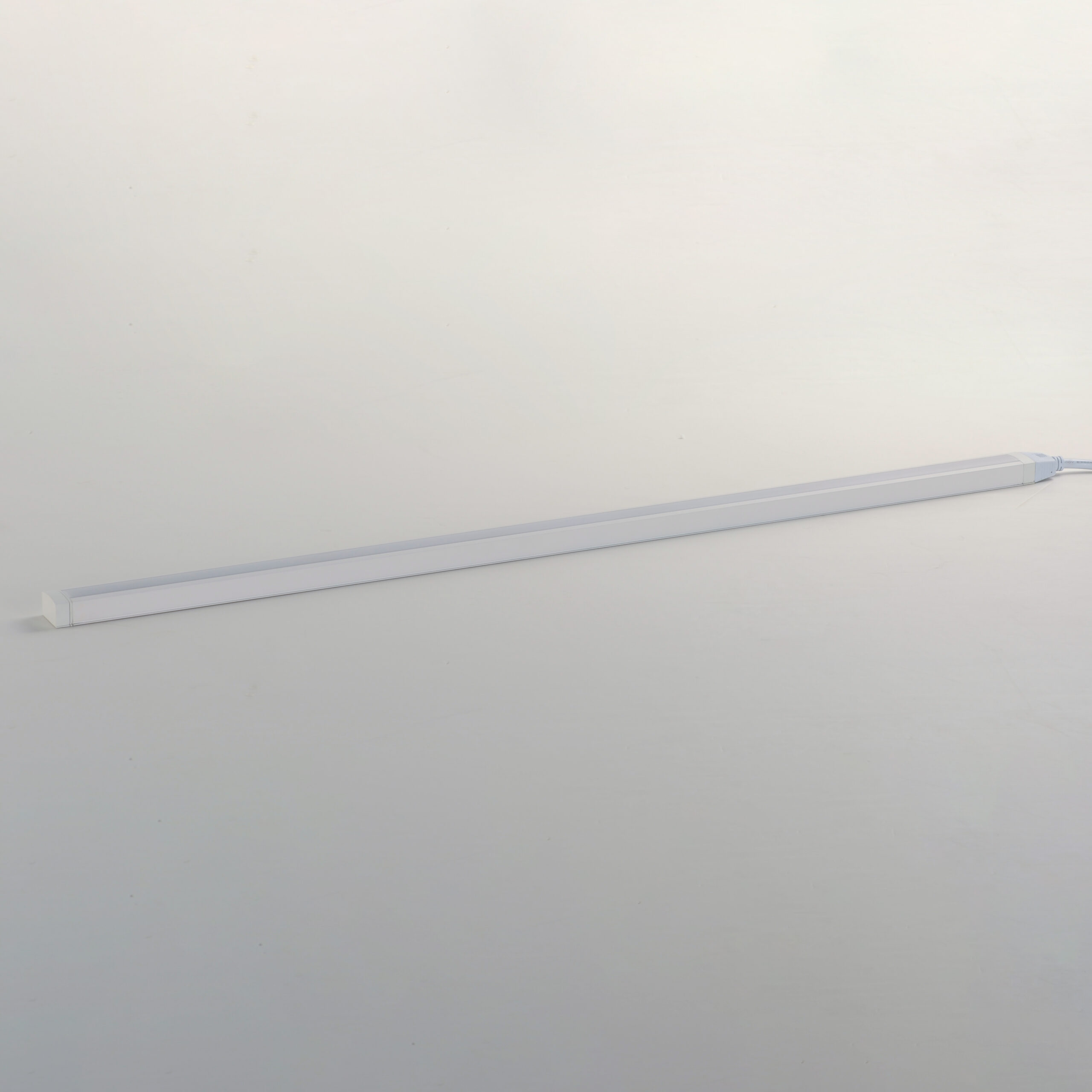 88955WT_01