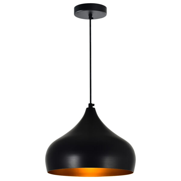 Dynamic 1 Light Down Pendant With Black Finish
