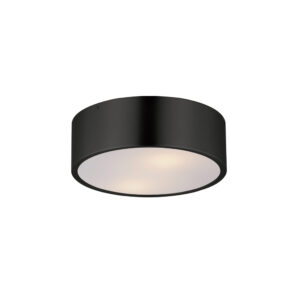Maxim Lighting Tommy 12"  2-Light Surface Mount
