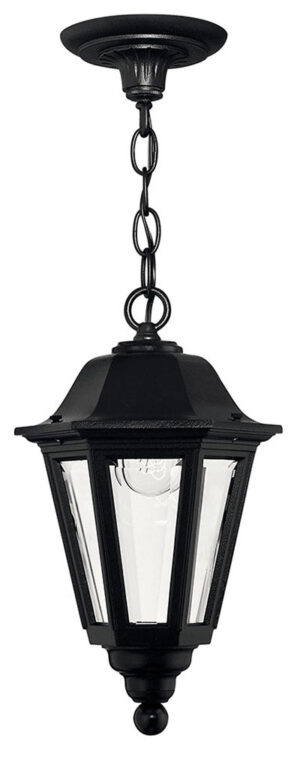 Hinkley Medium Hanging Lantern