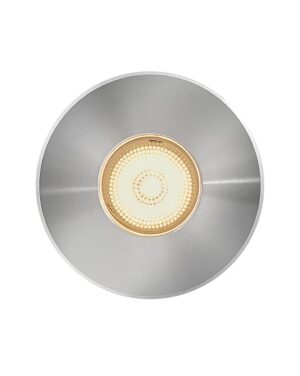 Hinkley Small Stainless Steel LED Round Button Light