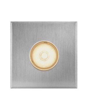 Hinkley Small Stainless Steel LED Square Button Light