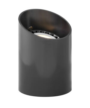 Hinkley Par36 Reversible Well Light