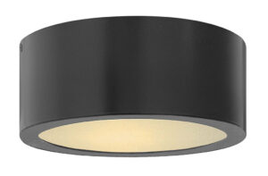Hinkley Extra Small Flush Mount