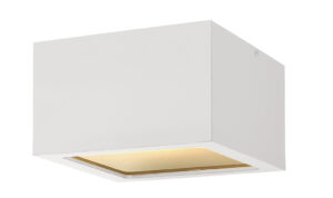 Hinkley Extra Small Flush Mount