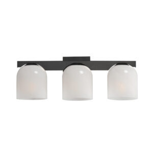 Maxim Lighting Scoop 3-Light Bath Vanity