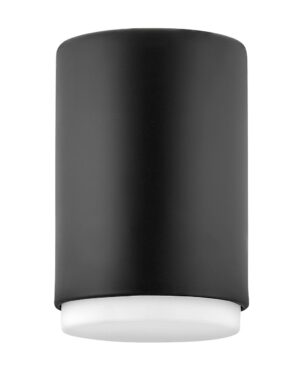 Hinkley Extra Small Flush Mount
