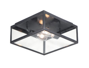 Maxim Lighting Catalina 2-Light Outdoor Ceiling Mount