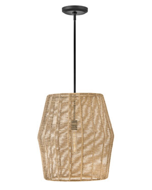 Hinkley Large Convertible Pendant