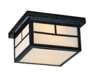 Maxim Lighting Coldwater 2-Light Outdoor Ceiling Mount