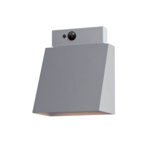 Maxim Lighting Pathfinder LED Outdoor Sconce W/ MSP