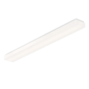 Maxim Lighting Cloud 48" Skinny Surface Mount