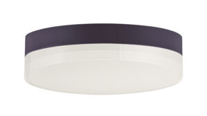 Maxim Lighting Illuminaire II 7"RD LED Flush Mount 3000K