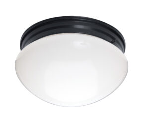 Maxim Lighting Essentials 2-Light Flush Mount