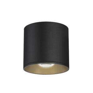 Maxim Lighting Stout RD 120-277V Indoor/Outdoor Flush Mount
