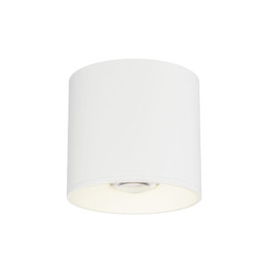 Maxim Lighting Stout RD 120-277V Indoor/Outdoor Flush Mount