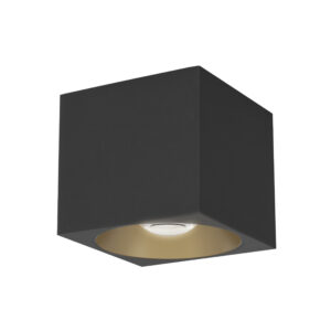 Maxim Lighting Stout 120-277V Indoor/Outdoor Flush Mount