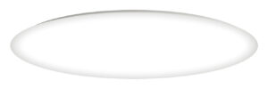 Maxim Lighting Low Profile EE 2-Light Flush Mount