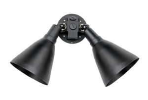 Maxim Lighting Spots 2-Light Outdoor Wall Mount
