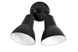 Maxim Lighting Spots 2-Light Outdoor Wall Mount