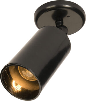 Maxim Lighting Spots 1-Light Can Wall/Flush Mount