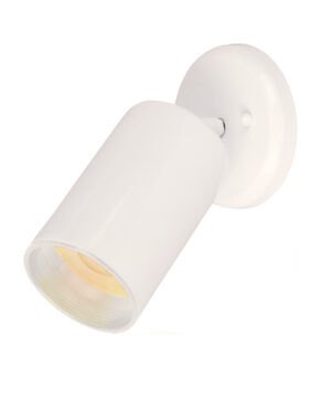 Maxim Lighting Spots 1-Light Can Wall/Flush Mount