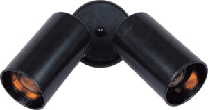 Maxim Lighting Spots 2-Light Can Wall/Flush Mount
