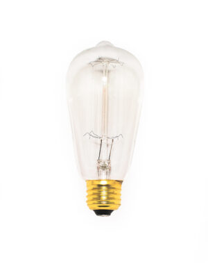 Maxim Lighting 40W Incandescent ST58 120V CL