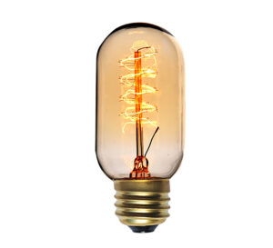 Maxim Lighting 40W Incandescent T14 120V CL