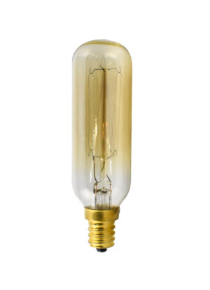Bulbs