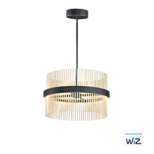 ET2 Lighting Chimes 24'' LED Pendant WiZ