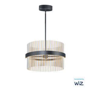 ET2 Lighting Chimes 24'' LED Pendant WiZ