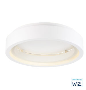 ET2 Lighting iCorona 24" LED Flush Mount WiZ Color