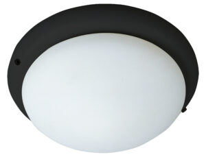 Maxim Lighting 1-Light Ceiling Fan Light Kit