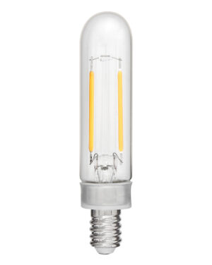 Hinkley LED Bulb