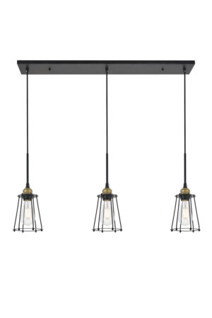 Auspice 3 light brass and black Pendant