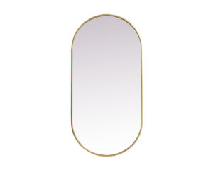 Metal Frame Oval Mirror 24x48 Inch in Brass