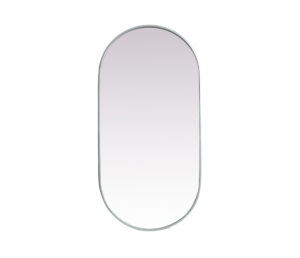 Metal Frame Oval Mirror 24x48 Inch in Silver
