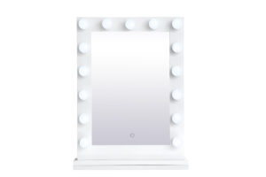 Brenda 24 inch by 32 inch plug in LED 5000K mirror in white