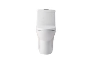 Winslet One-piece elongated Toilet 28x15x30 in White