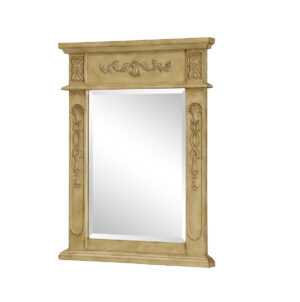Danville 22 In. Traditional  Mirror In Antique Beige