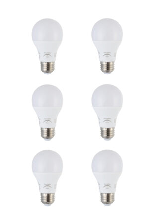 LED  A19 light bulb 10 watts 800 lumens 2700K non-dimmable