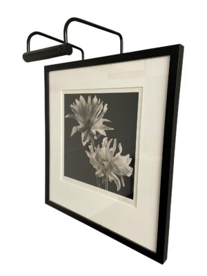 One Light Picture Light by House of Troy - Slim-line Collection, Black Finish - SL6-7