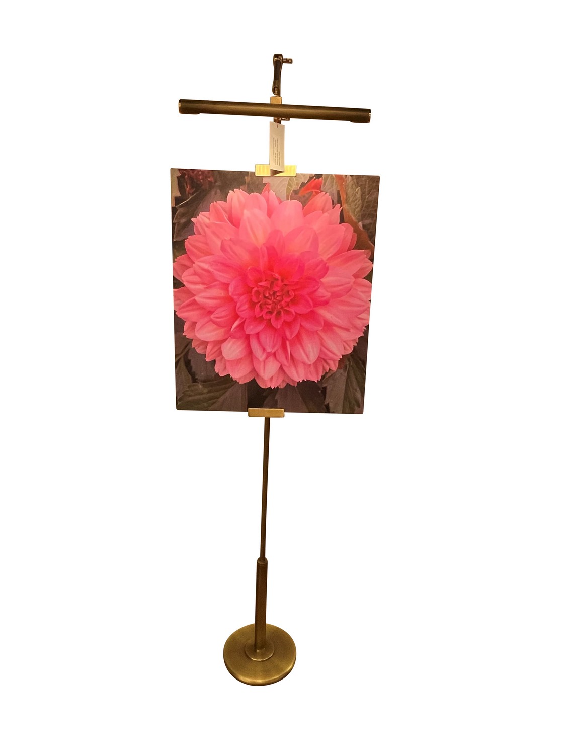 LED Floor Lamp by House of Troy - River North Collection, Antique Brass/Satin Brass Finish - RN300-AB/SB