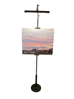 LED Floor Lamp by House of Troy - River North Collection, Black/Polished Brass Finish - RN300-BLK/PB