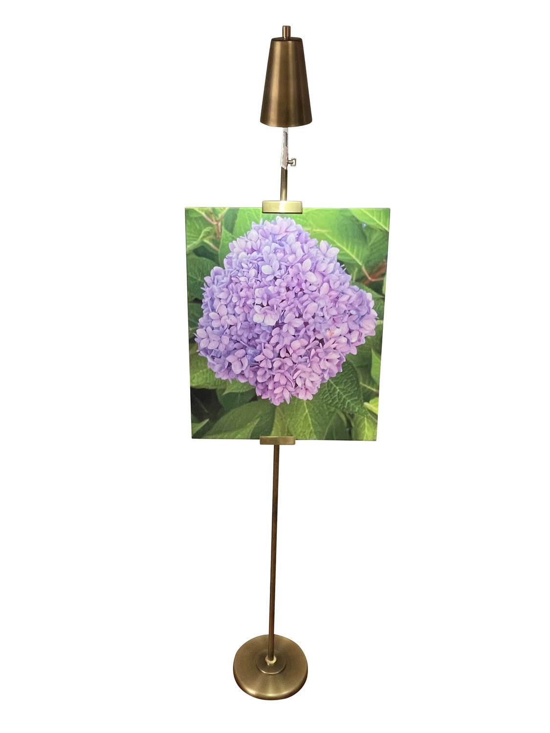 LED Floor Lamp by House of Troy - River North Collection, Antique Brass/Satin Brass Finish - RN301-AB/SB