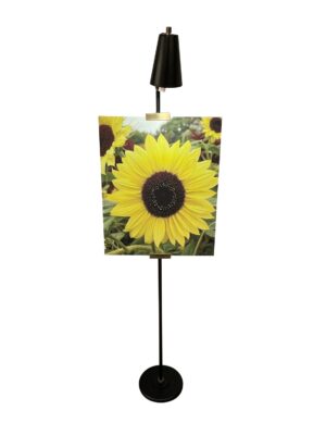 LED Floor Lamp by House of Troy - River North Collection, Black/Antique Brass Finish - RN301-BLK/AB