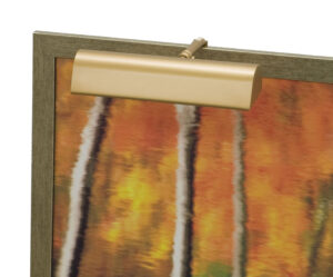 One Light Picture Light by House of Troy - Classic Traditional Collection, Gold Finish - T9-1-CA